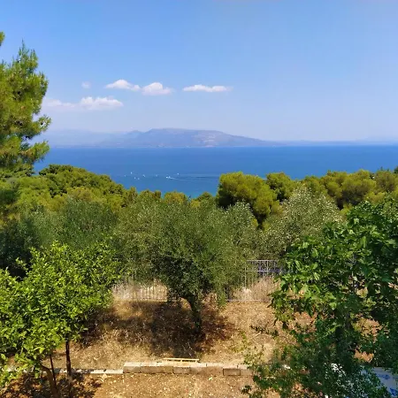 Panorama View 1 *